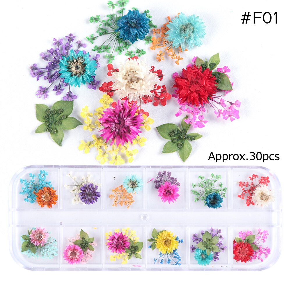 Natural Dried Flowers Decorations