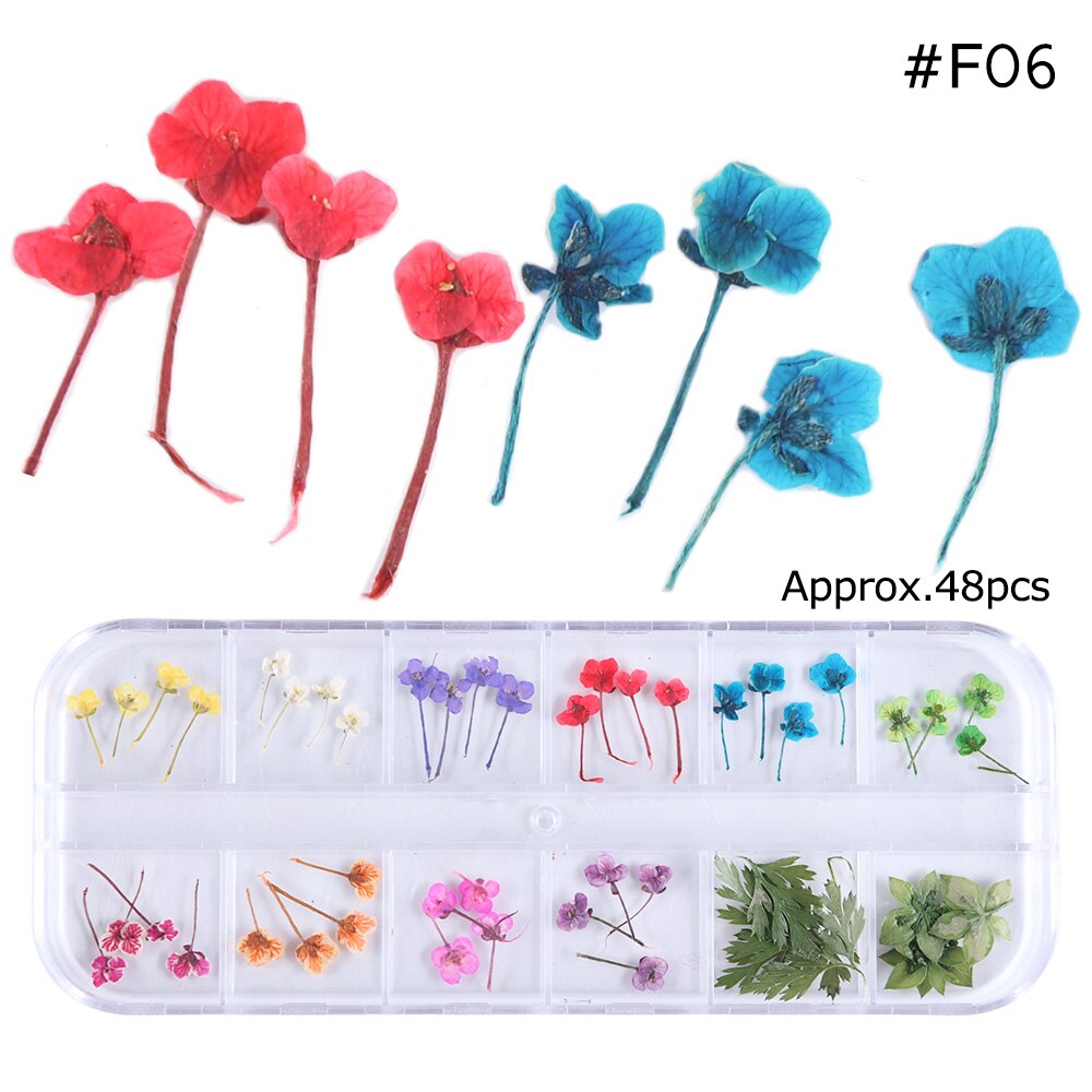 Natural Dried Flowers Decorations