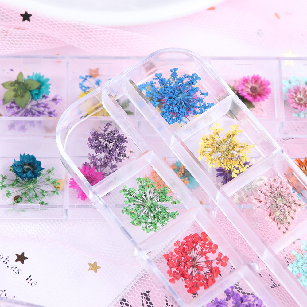 Natural Dried Flowers Decorations