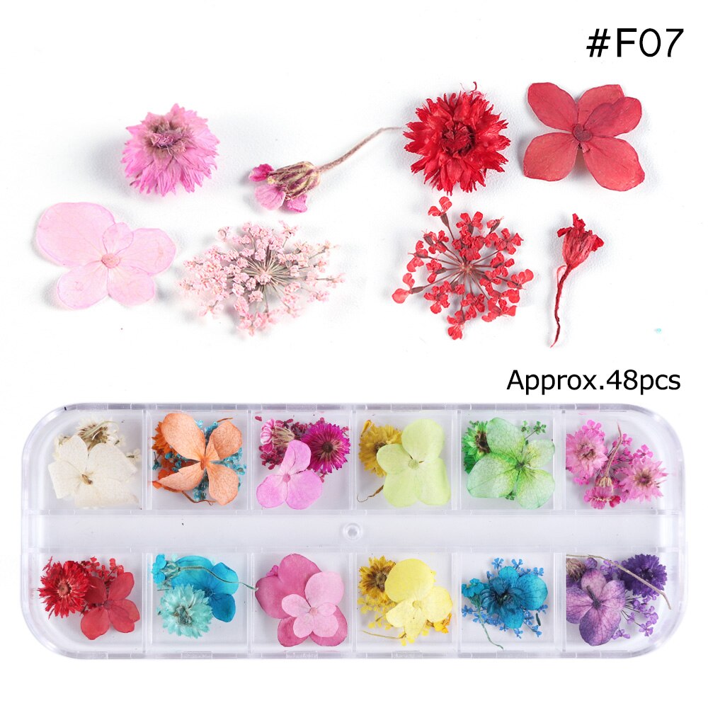 Natural Dried Flowers Decorations