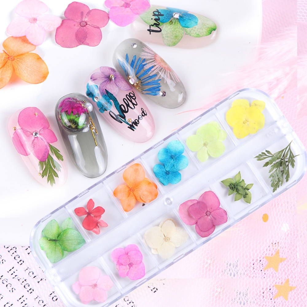 Natural Dried Flowers Decorations