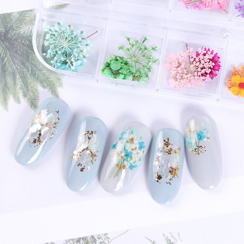 Natural Dried Flowers Decorations