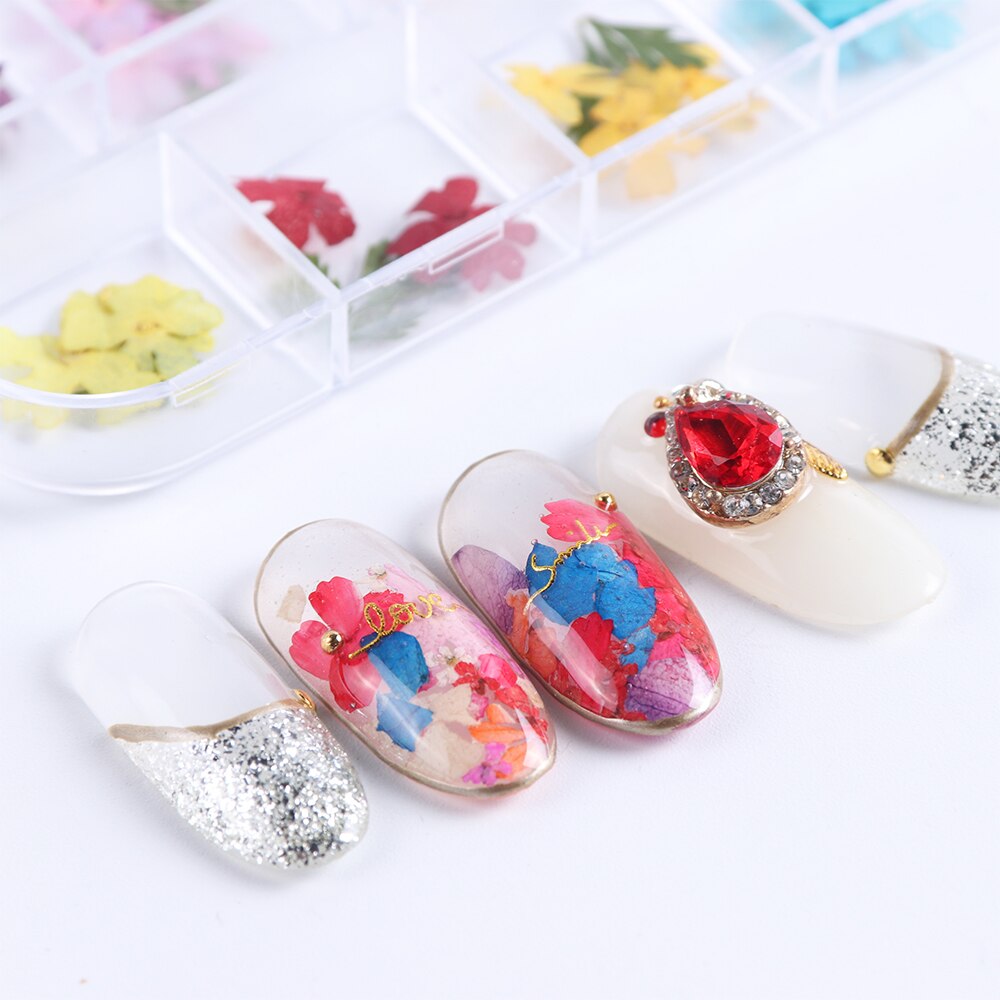 Natural Dried Flowers Decorations