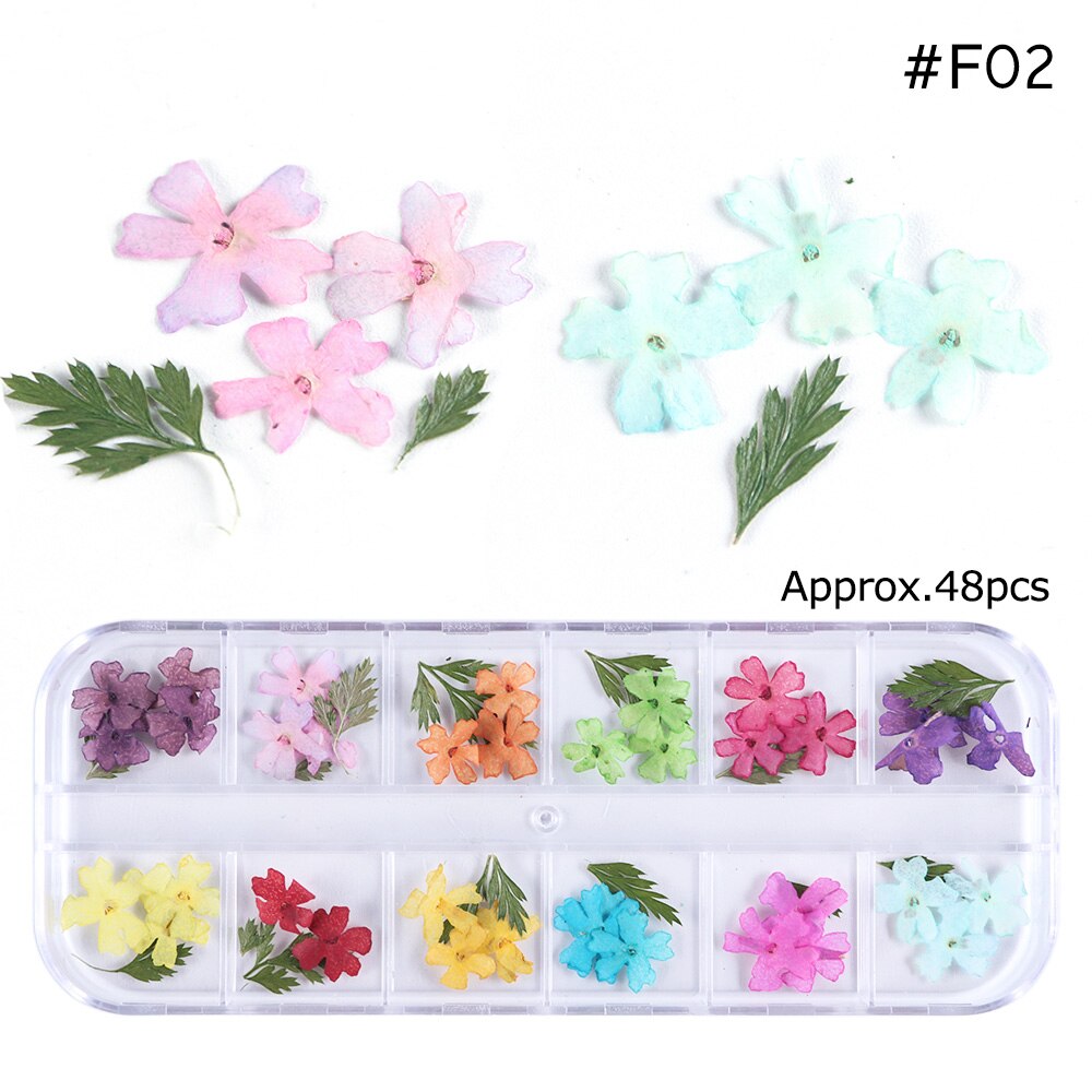 Natural Dried Flowers Decorations