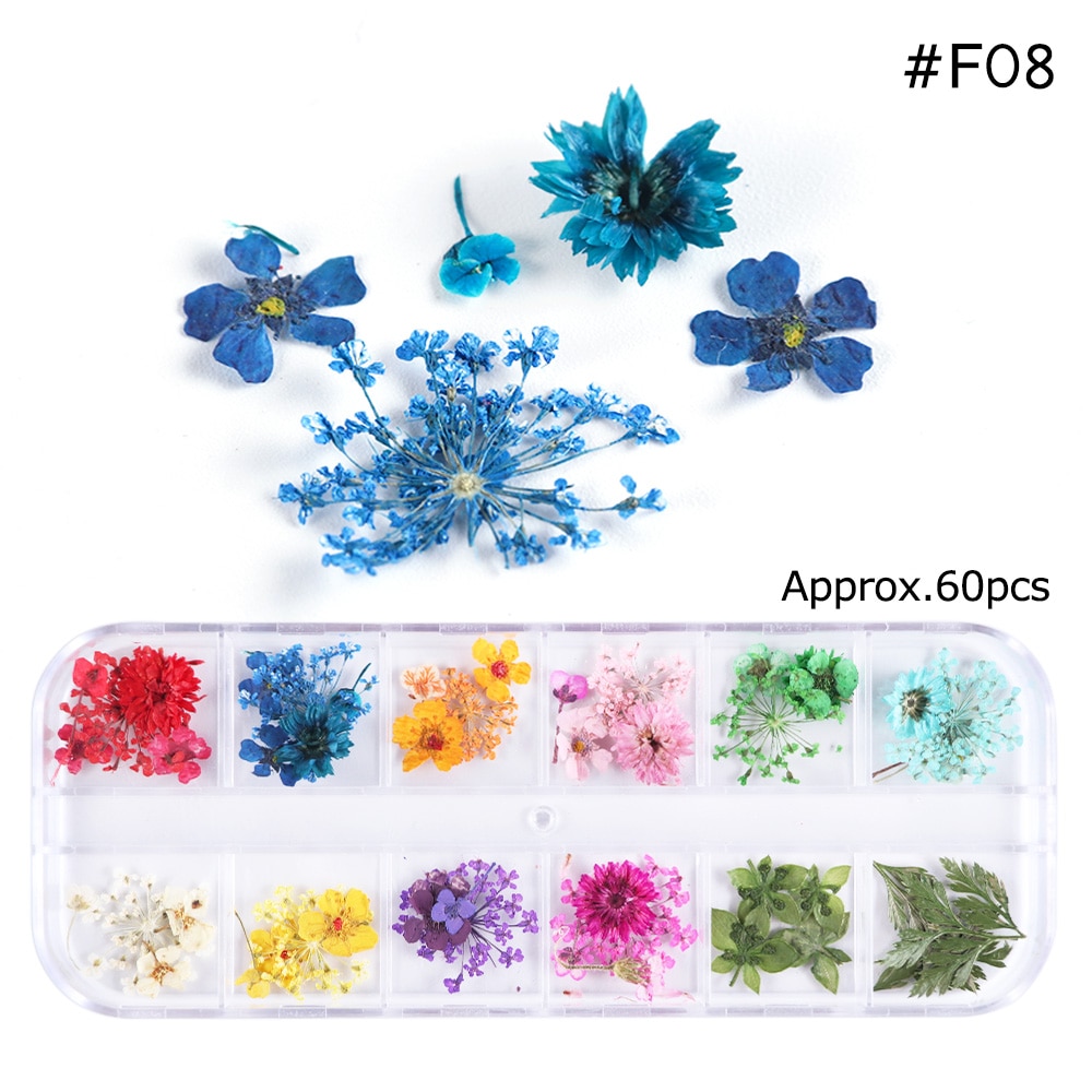 Natural Dried Flowers Decorations