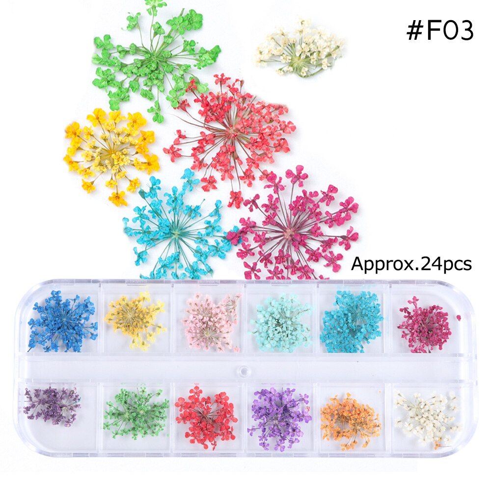 Natural Dried Flowers Decorations