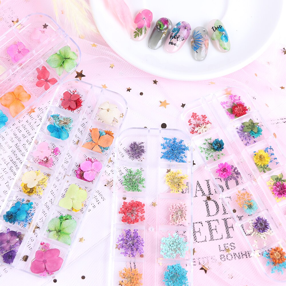 Natural Dried Flowers Decorations