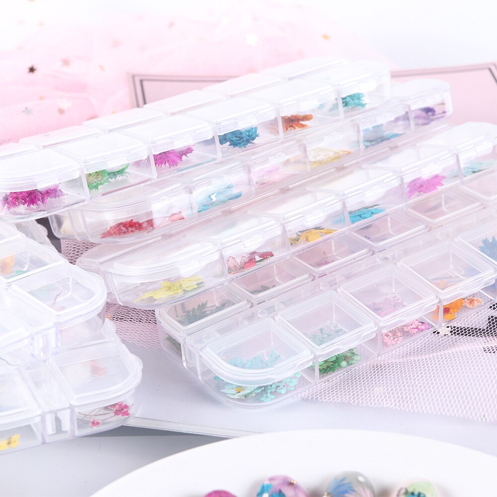 Natural Dried Flowers Decorations