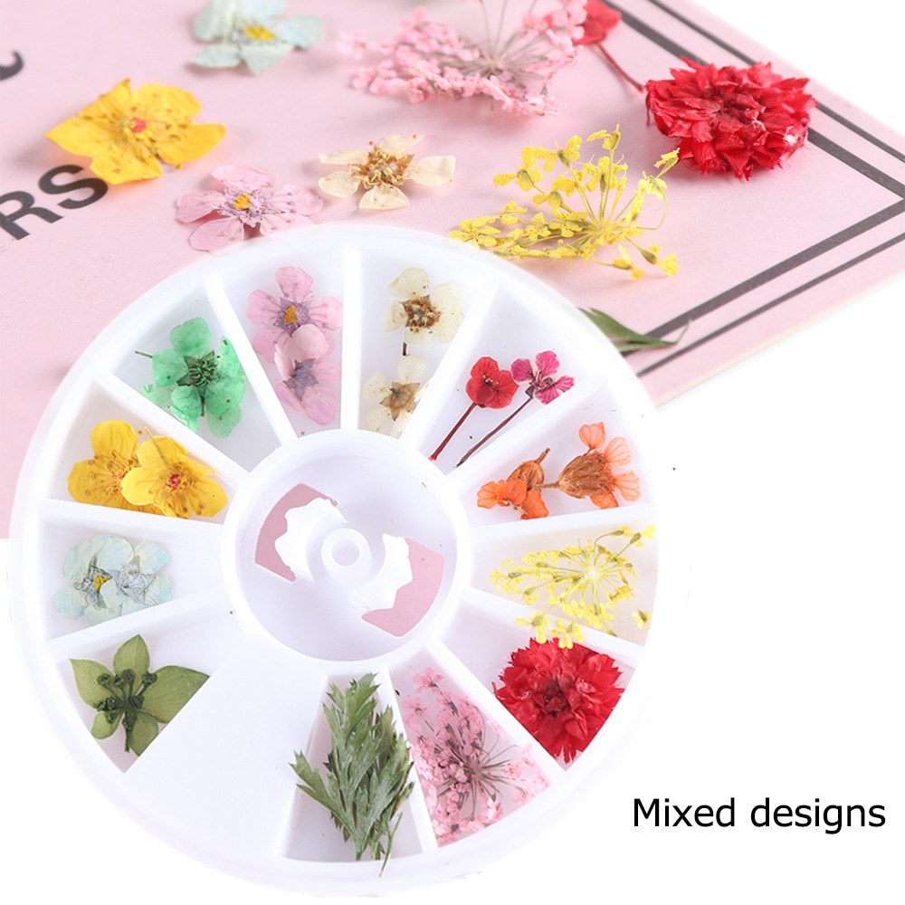 Natural Dried Flowers Decorations